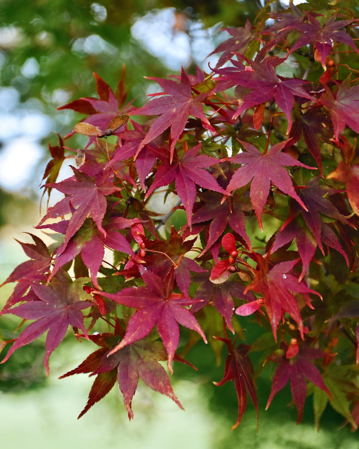 14_IMG_27C074B34DD6-1