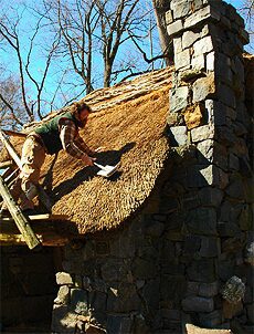 Faerie Cottage Thatching