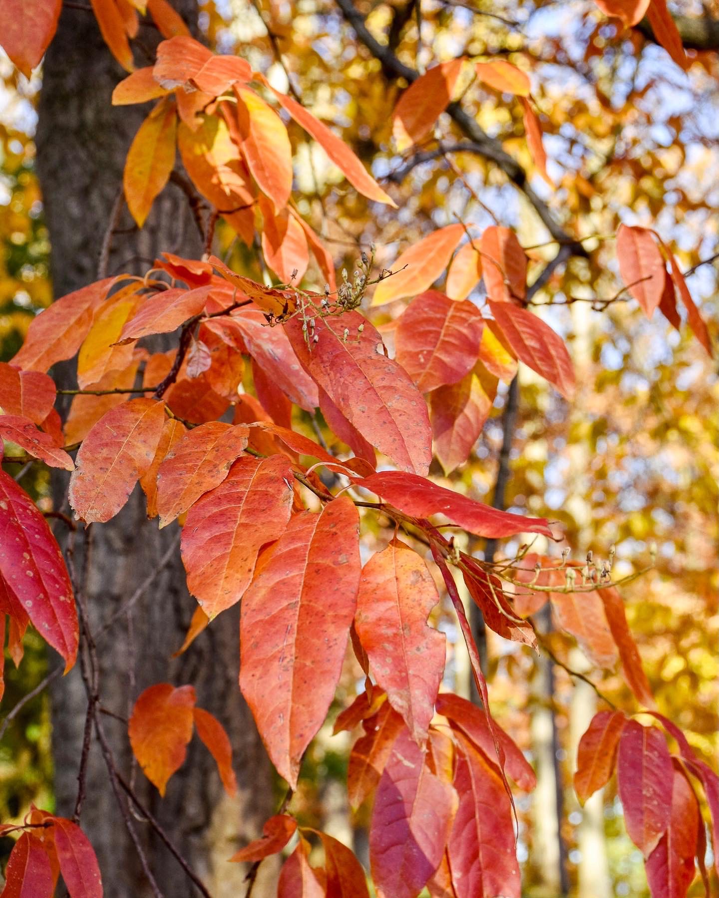 3E9FF9FD-2011-4638-AAA7-FAFEE75D4A99