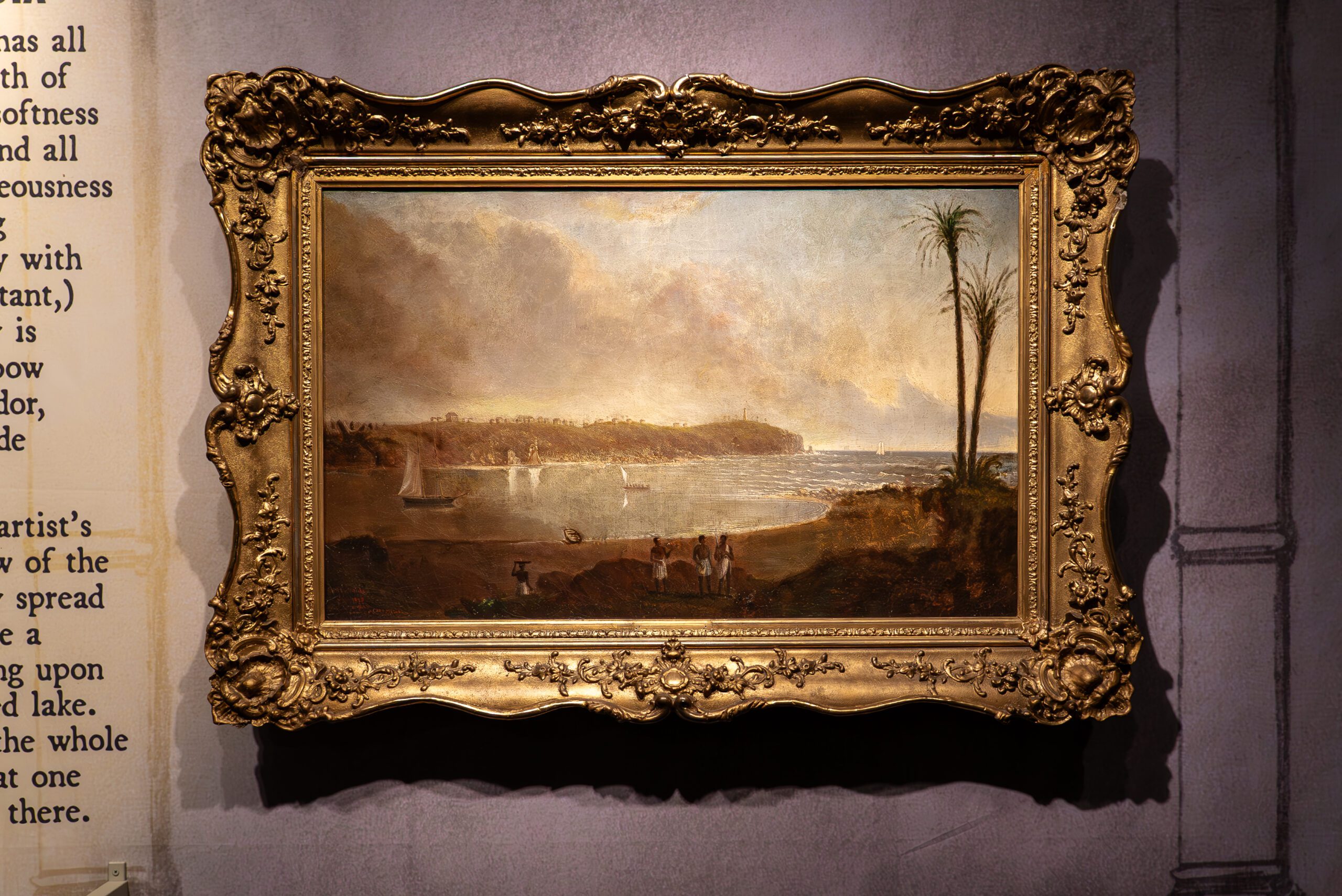 DSC08804-Enhanced-NR