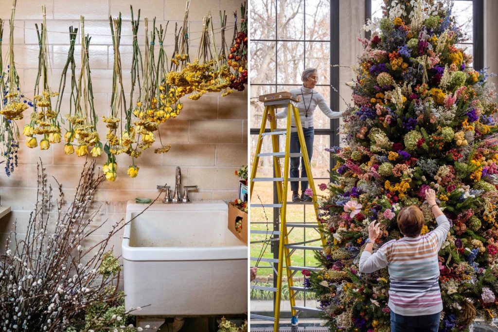 Dried Flowers - Société de Pastel de l'Est du Canada