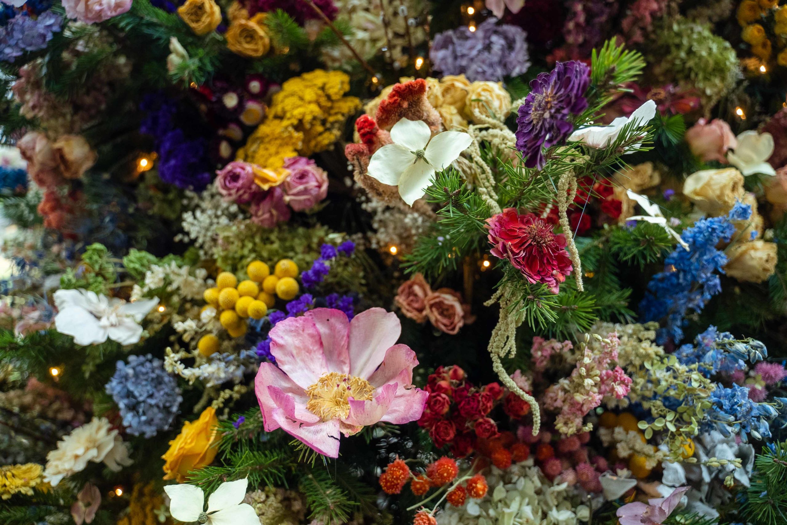 Equipments - Decorative Boxed Dried Preserved Flowers