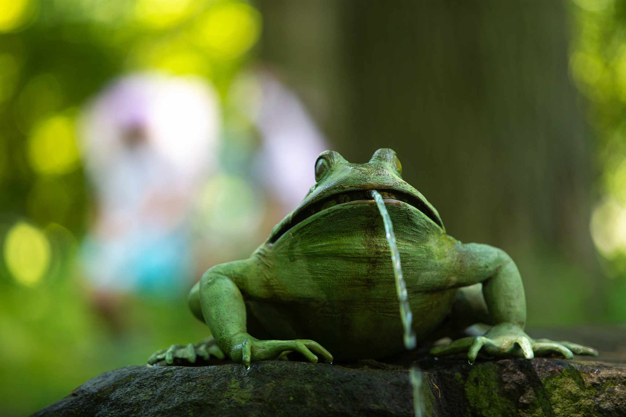 A frog fountain in the Enchanted Woods.