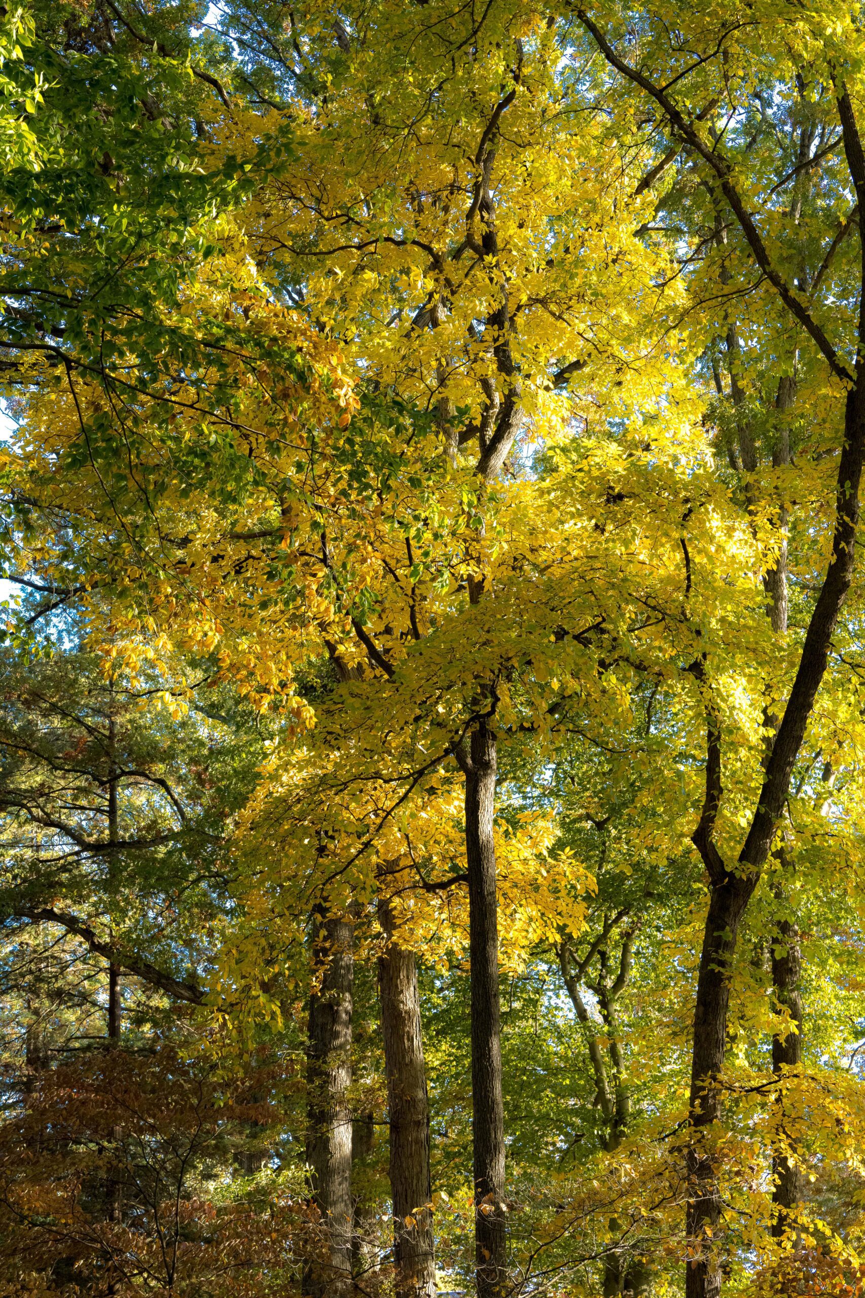 Garden_10-2023-Tercha-32