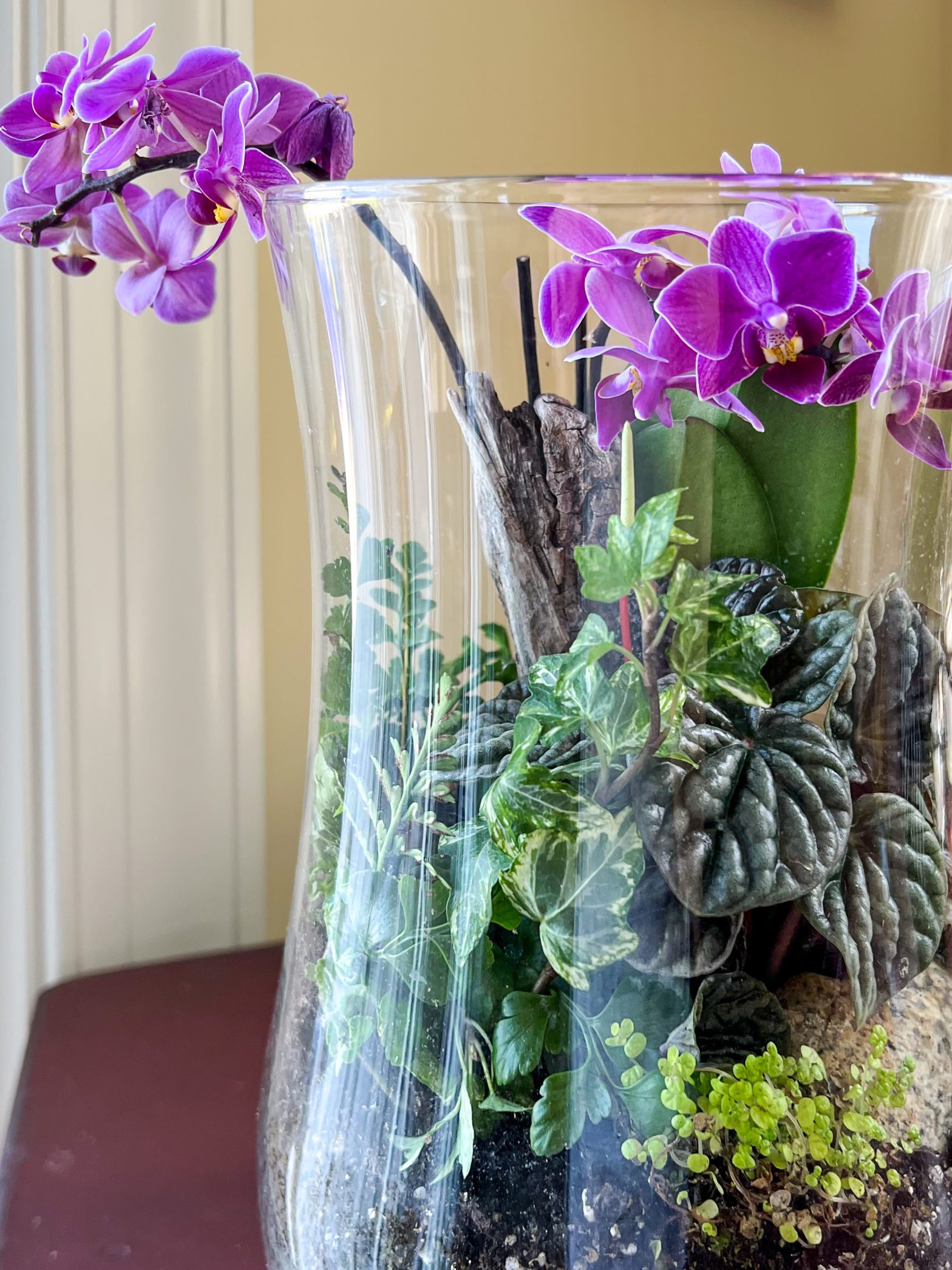 Trendy Terrariums Winterthur Museum, Garden & Library