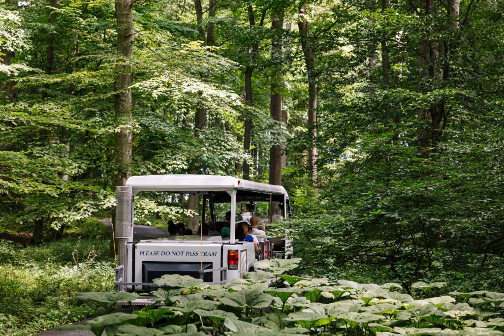 wilmington delaware garden tour