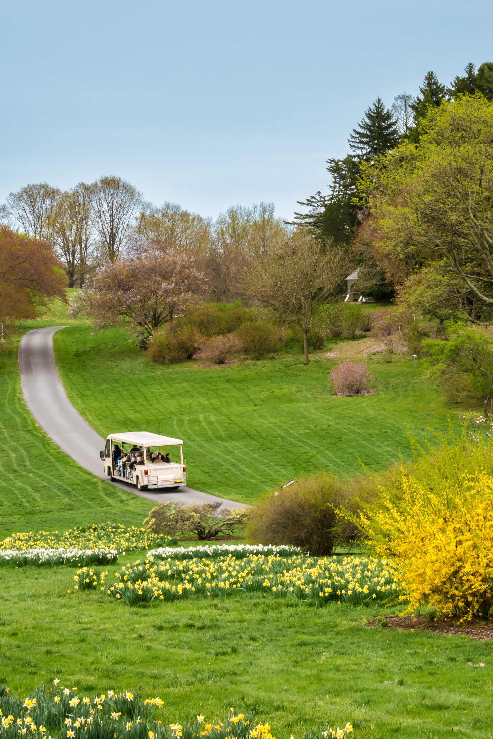 Gifts for Mothers and the Special Women in Your Life Winterthur